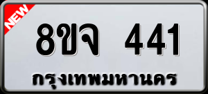 ทะเบียนรถ 8ขจ 441 ผลรวม 25